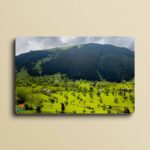 10 جاذبه معروف از بهترین جاهای دیدنی رشت