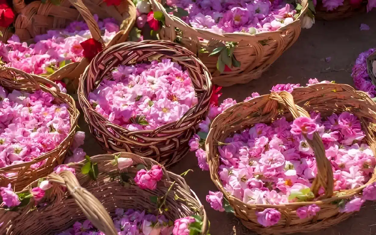 12 جاذبه معروف از جاهای دیدنی کاشان