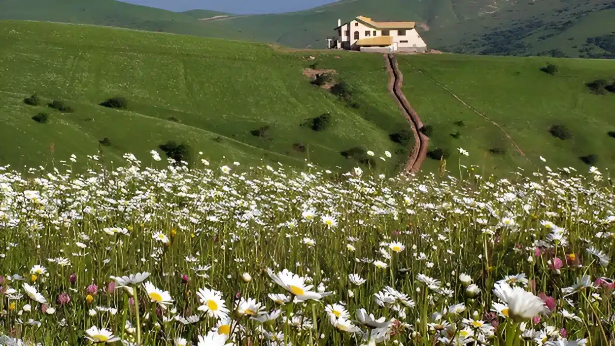 جاهای دیدنی اردبیل