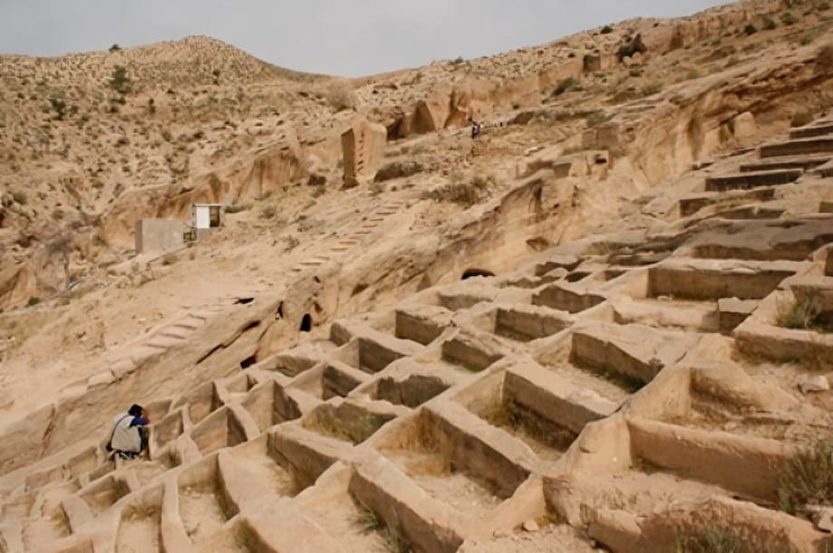 جاهای دیدنی بوشهر