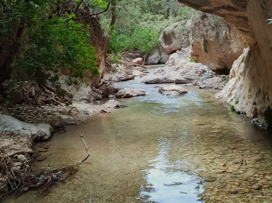 جاهای دیدنی بوشهر