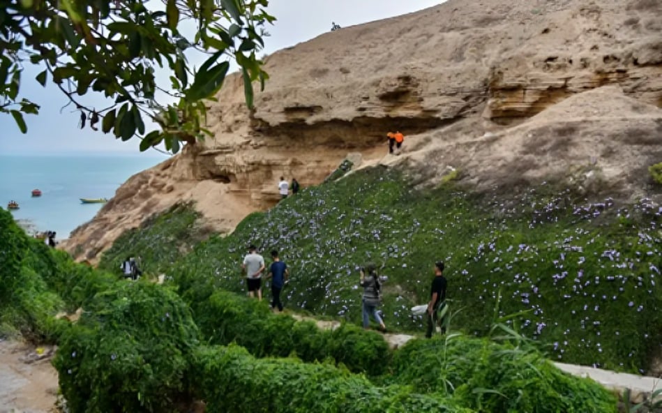 جاهای دیدنی بوشهر