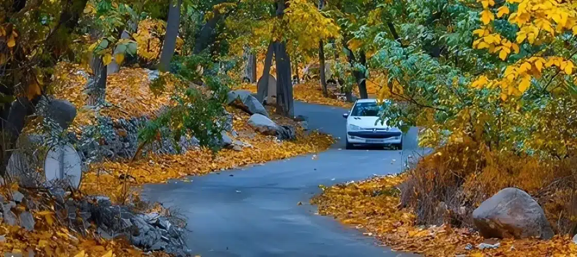 جاهای دیدنی چالوس؛ از دریاچه ولشت تا پارک جنگلی نمک آبرود