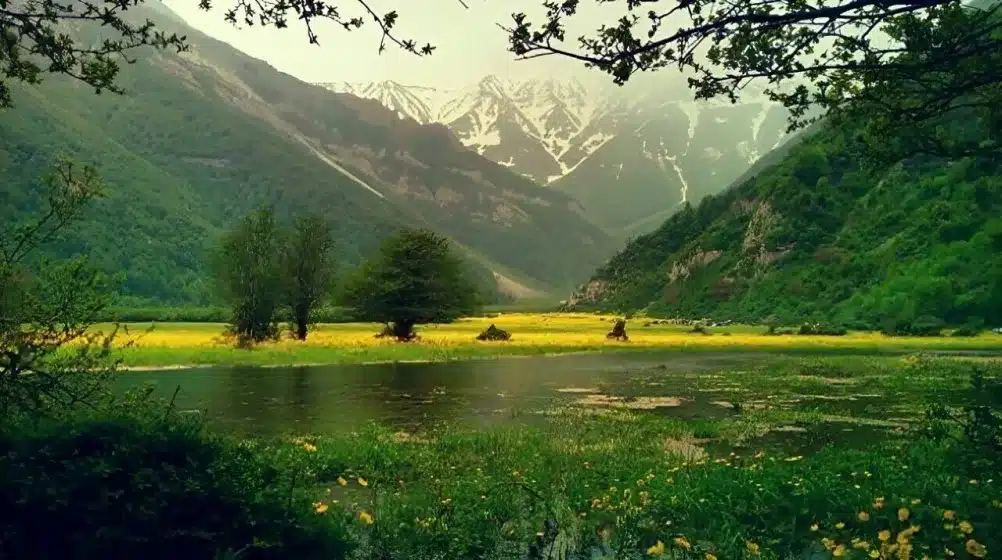 جاهای دیدنی چالوس؛ از دریاچه ولشت تا پارک جنگلی نمک آبرود