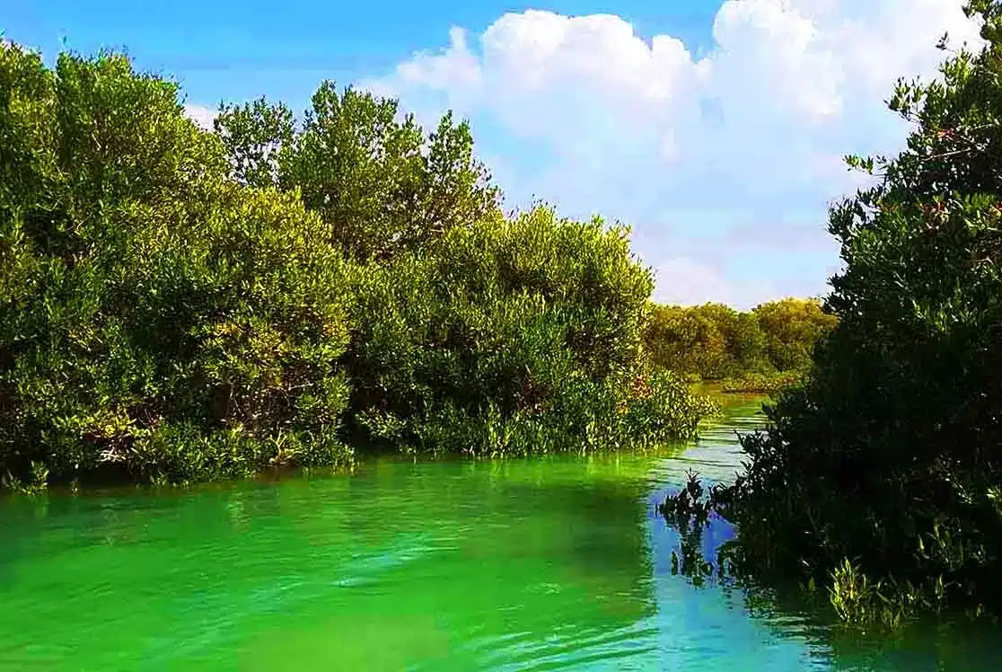 18 تا از جاهای دیدنی چابهار که نباید از دست بدهید