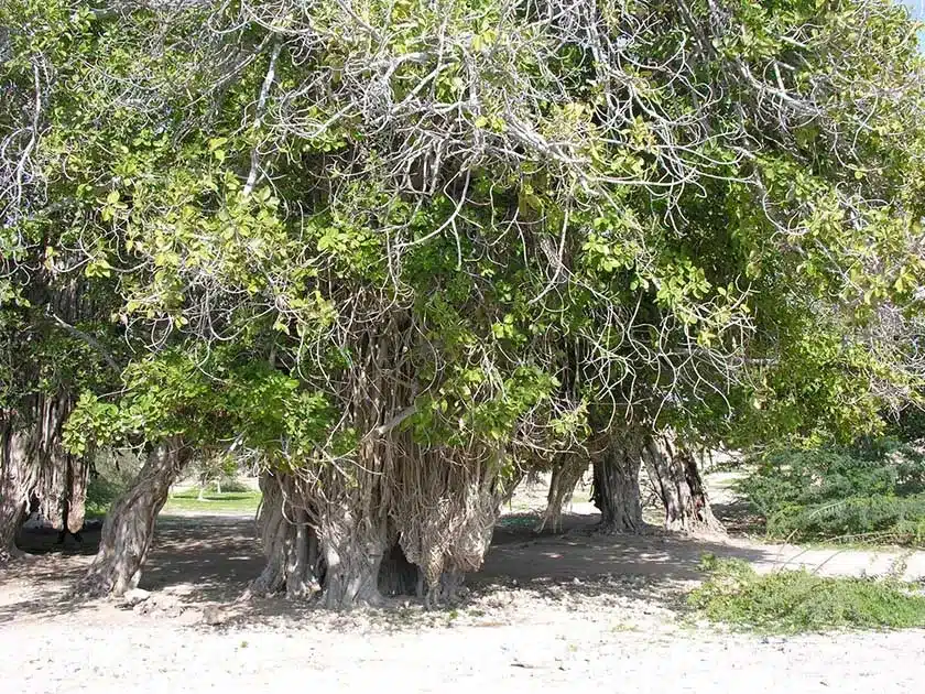 18 تا از جاهای دیدنی چابهار که نباید از دست بدهید