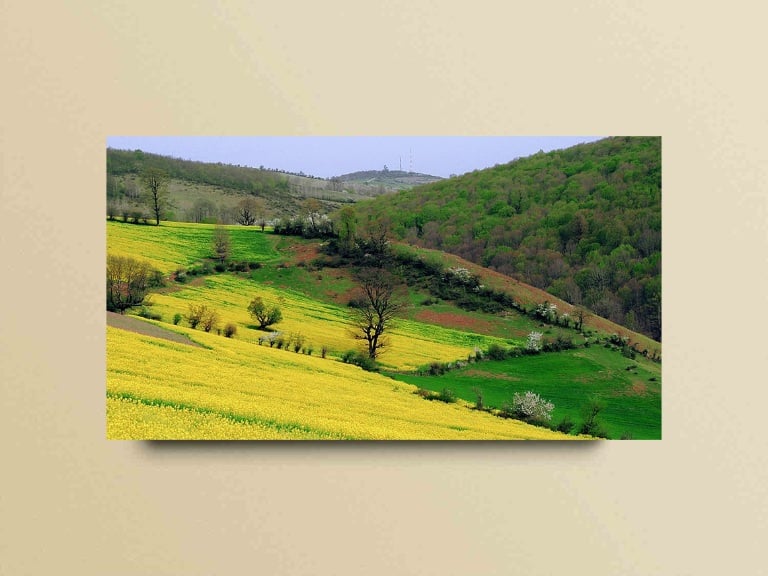 جاهای دیدنی ساری