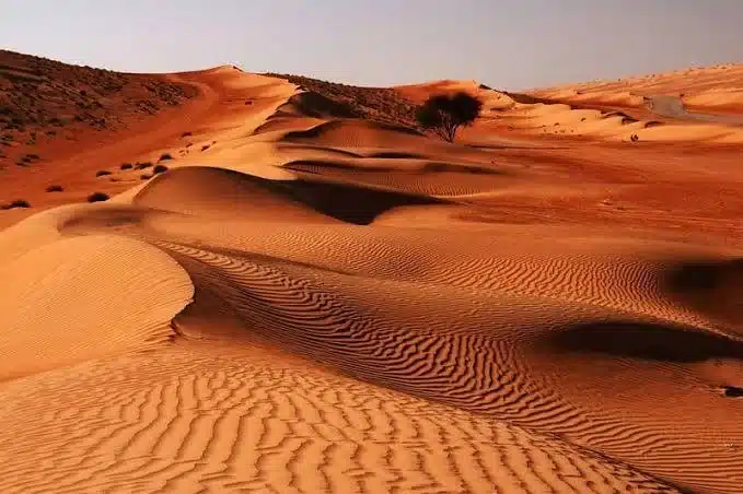 معرفی 10 مقصد سافاری در ایران + آدرس، جاذبهها و راهنمای کویرگردی 19 سافاری در ایران